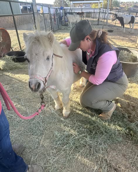 Community program in action